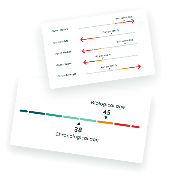 examples of graphs from report